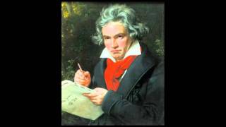 Ludwig van Beethoven  5th Symphony Adagio con moto [upl. by Eirallam]