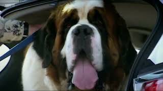 Top Gear  James May makes a dog miserable WARNING Viewer discretion is advised [upl. by Rakia]