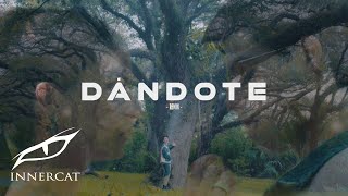 Sartiboy amp Lary Over  Dándote Remix Official Music Video [upl. by Nahtad]