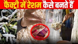 Resam Kaise Banta Hai  Silk Manufacturing Process in Factory in Hindi  Fact Fiction [upl. by Bergin913]