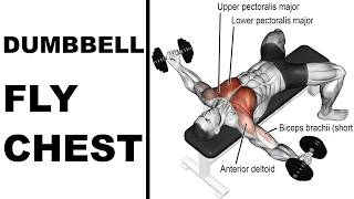 How To Dumbbell Fly Chest [upl. by Christoph982]