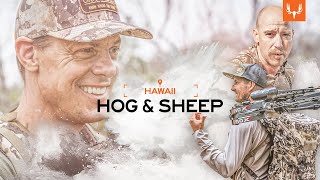 MeatEater  Hawaii Hogs and Sheep [upl. by Hulton]