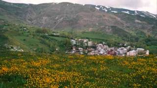 Ferhat Tunç Taşa verdim yanımı [upl. by Maia]