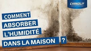 Comment absorber lhumidité dans une maison [upl. by Kealey]