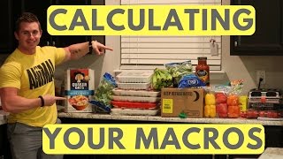 MACRONUTRIENTS Breaking Down Your Macros [upl. by Harbot]