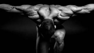 Advanced Home Triceps Workout Get Huge Arms Fast [upl. by Alakcim]