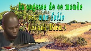 La sagesse de Kémi Séba ne sauvera pas lAfrique [upl. by Neiht]