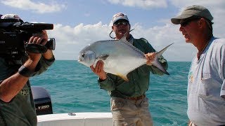 Monster Permit Fishing on Live Crabs off of Marco Island Florida [upl. by Cuthbert992]