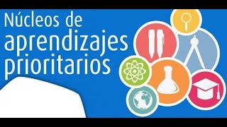 NAP Nucles de Aprendizaje Prioritarios [upl. by Oslec]