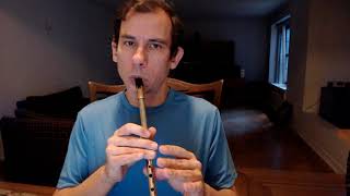 Na Ceannabhain Bhana  Tin Whistle [upl. by Kiker]