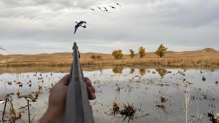 Duck Hunting Trip Day 1 Wigeon Down amp Epic Scouting Footage [upl. by Allenrac886]