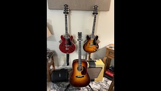 Collings D1 Traditional D1T Acoustic Demo  Cinematic Mode [upl. by Bernarr293]