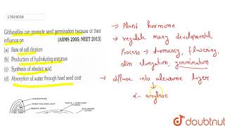 Gibberellins can promote seed germination because of their influence on [upl. by Nitnert175]