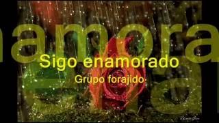 sigo enamorado grupo forajido [upl. by Stuppy567]