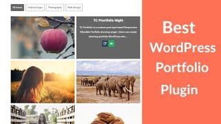 Best WordPress Portfolio Plugin To Make A WordPress Portfolio Website [upl. by Hareema]