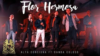 Alta Consigna  Cruzando Cerros y Arroyos ft Banda Coloso En Vivo [upl. by Elmo]