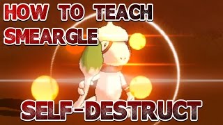 How to teach Smeargle SelfDestruct [upl. by Fremont]