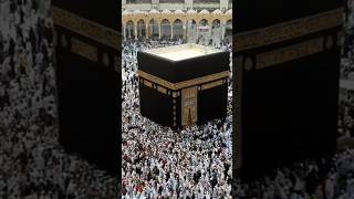 holy mecca hajj  28 September 2024 shortvideo makkah live [upl. by Zena]