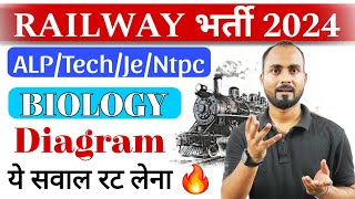 Railway Exam 2024  Biology Diagram के ये सवाल रट के जाना 🔥  Railway Science  RRB Biology RLY SPL [upl. by Arvid]