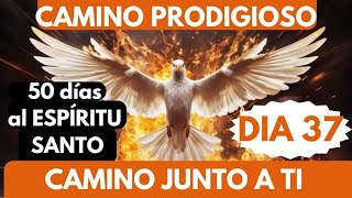 Día 37🔥🙏 CAMINO PRODIGIOSO 50 DÍAS AL ESPÍRITU SANTO DIOS CAMINA CONTIGO [upl. by Ainessey]