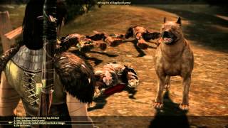 DAO Nightmare HD  The Dog [upl. by Noslrac]