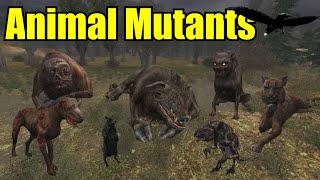 STALKER ALL Monsters amp Creatures Explained 1  Animal Mutants [upl. by Lairret]