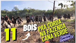 11 Bois Pra Corda na 4° pega de boi no mato na fazenda Cana Verde em General Sampaio Ceará [upl. by Aniehs]