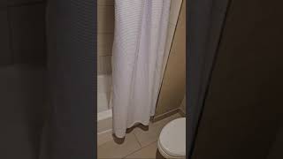 Embassy Suites by Hilton Deerfield Beach Resort amp Spa Room tour [upl. by Atnauq541]