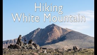 Hiking White Mountain Peak The Third Tallest Summit in California [upl. by Abbot298]