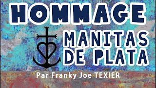 Hommage à Manitas de Plata  Franky Joe Texier [upl. by Enelym]