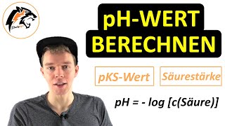 pHWert berechnen inkl pOHWert  Chemie Tutorial [upl. by Eamon]