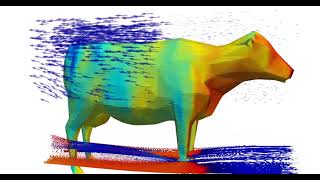 Aerodynamics of a cow [upl. by Oram490]