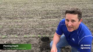 Corn Planting Depth 5 Reasons Why Its Important [upl. by Jobie]