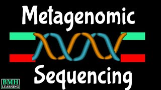 Metagenomic Sequencing  Shotgun Metagenomic Sequencing  Metagenomic NGS  mNGS [upl. by Lrad169]