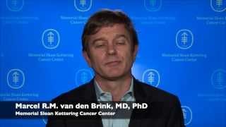 Dr van den Brink Highlights Five Abstracts From ASH 2014 [upl. by Goodard]