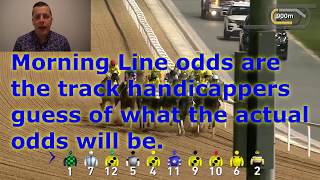 How are odds calculated in horse racing Who sets the odds Tip 4 [upl. by Landan715]