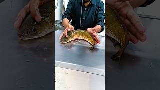 Giant River big live shoal fish fast cutting skills show up video shortvideoshorts fishshortsfeed [upl. by Mcquade]