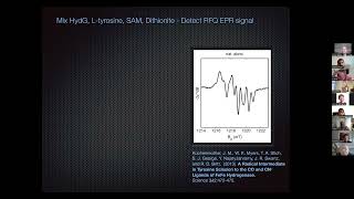 Hydrogenase Lectures 2022 Episode 3 Part 1 Dave Britt [upl. by Anoerb]