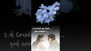 Un Sogam Oru Megam Nan Sonnal Adhu Pogum whatsappstatus tamillovestatus dharmadurai endhapakkam [upl. by Ashti848]