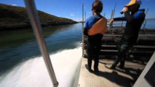 Coffin Bay Oyster Boat [upl. by Diarmuid]