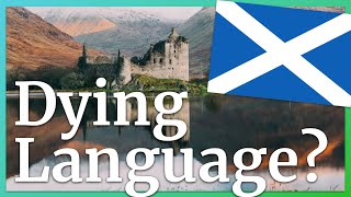 4 Reasons to Learn Scottish Gaelic Gàidhlig 🏴󠁧󠁢󠁳󠁣󠁴󠁿 [upl. by Enirhtac]