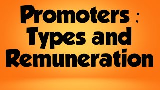 Promoters  Types and Remuneration [upl. by Aliakim]