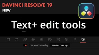 How to use Text edit tools in viewer DaVinci Resolve 19 [upl. by Saxe]