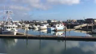 Panorama of Westport WA [upl. by Noseyt]