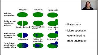 Speciation and macroevolution Part 2 [upl. by Norreg715]