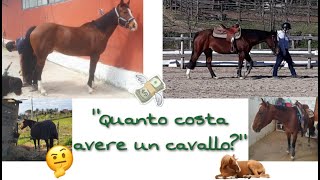 quotQuanto costa avere un cavalloquot💸🐴  WR [upl. by Airuam516]