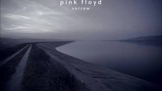 Pink Floyd Sorrow Remaster 51 HD [upl. by Enilrem]