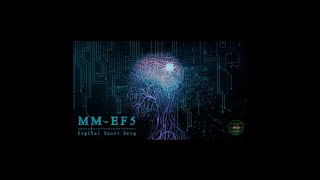 MMEF5™ MasterMind  Upgrade Your Brain Patreon [upl. by Suckow258]