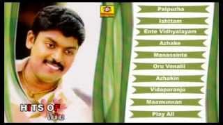 Hits Of Vidhu Prathap Vol2  Romantic Album  Malayalam [upl. by Ethelred]