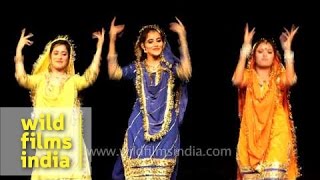 Dogri folk dance by women from Jammu [upl. by Noxid]